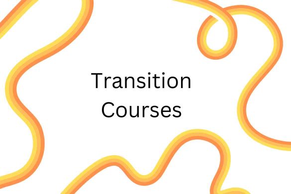 l'Alliance Française de Milwaukee Transition Courses